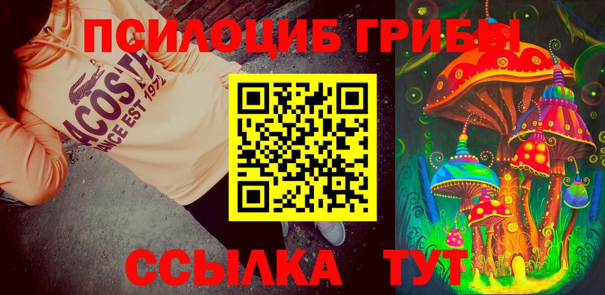 Спасск-Дальний  Псилоцибиновые грибы мухоморы  Вход с VPN  Псилоцибиновые грибы GOLDEN TEACHER 