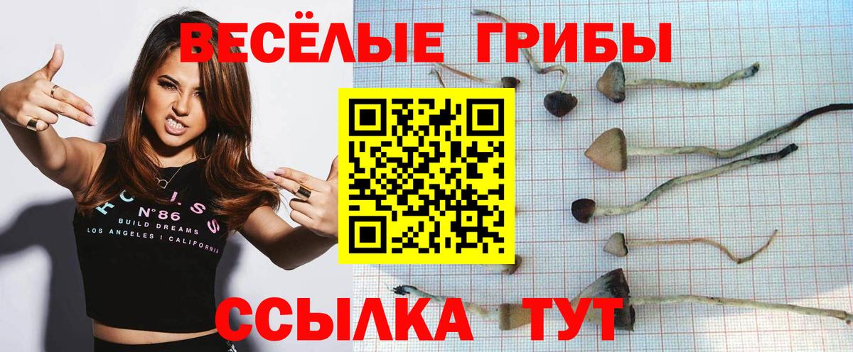 Галлюциногенные грибы Psilocybine cubensis Спасск-Дальний